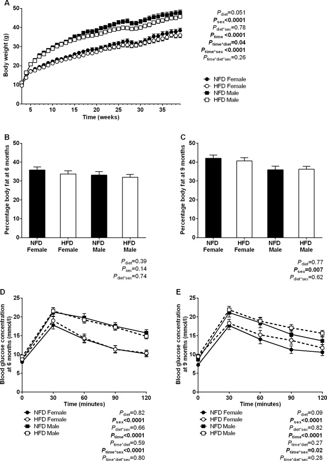 Fig 6