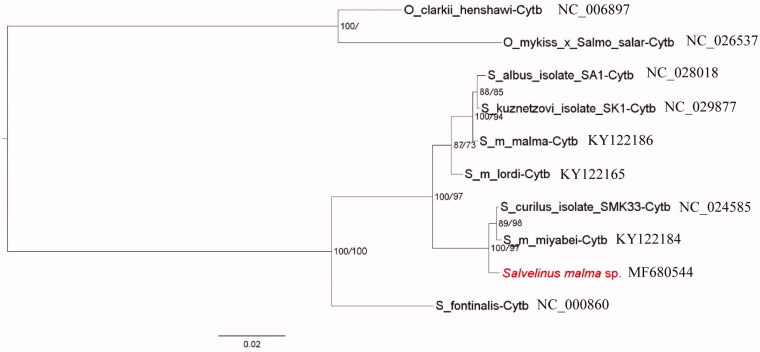 Figure 1.