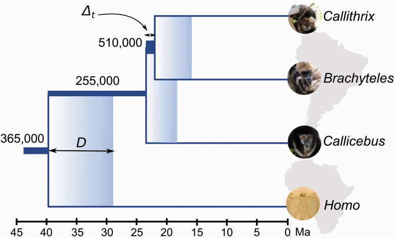 Fig. 4.—