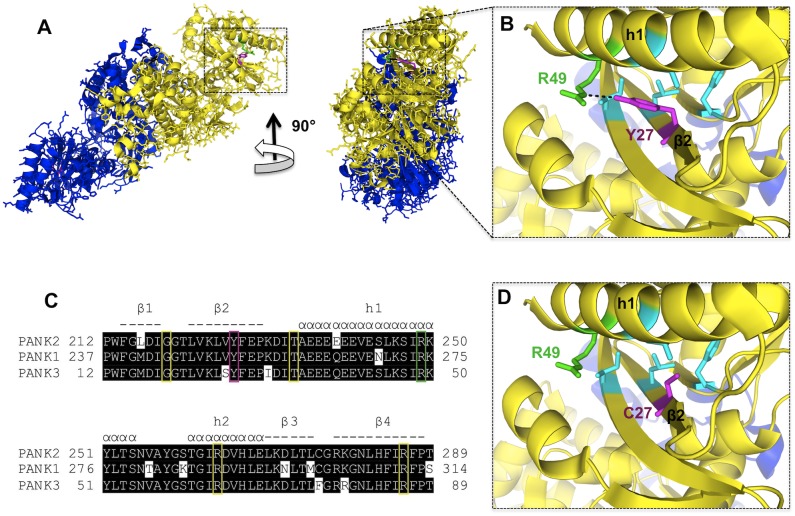 Fig 3