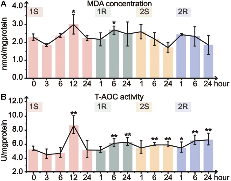 FIGURE 3