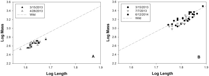 Fig 5