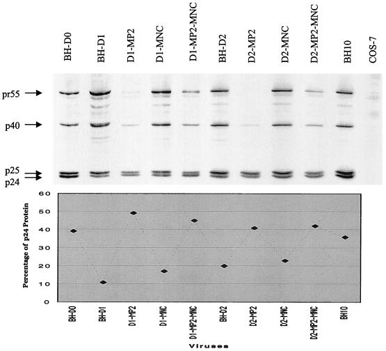 FIG. 7