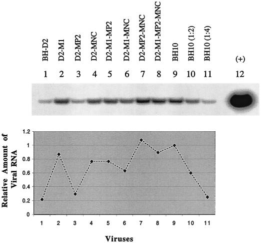 FIG. 6