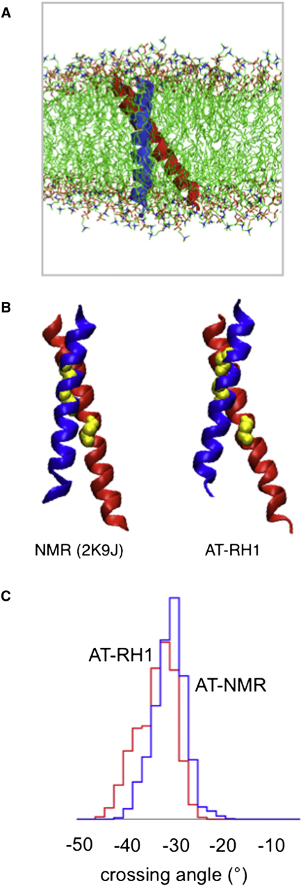 Figure 4