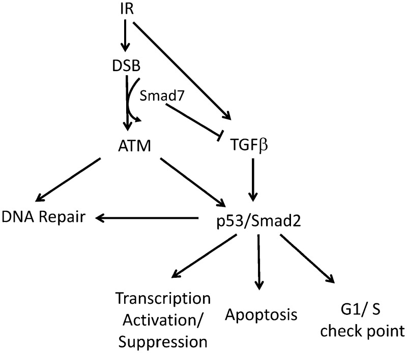 Figure 7.