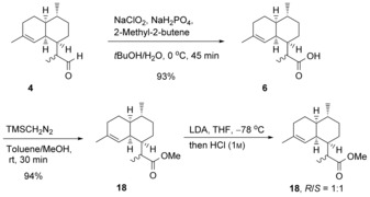 Scheme 6