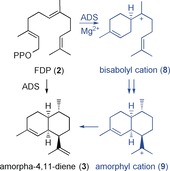 Scheme 2