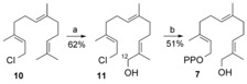 Scheme 4