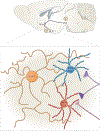 Figure 4 |