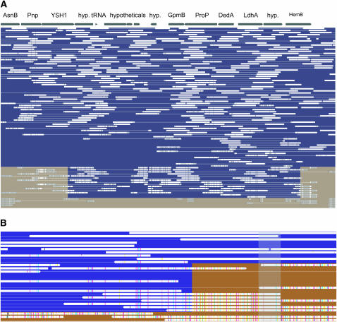 Figure 3.—