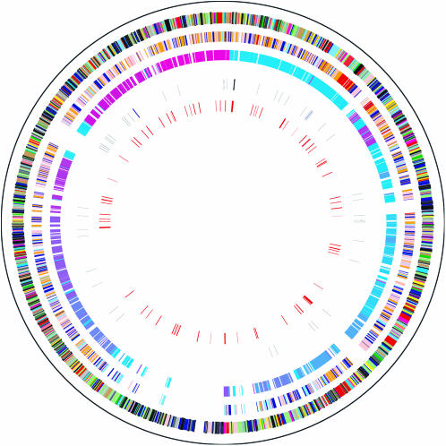 Figure 6.—