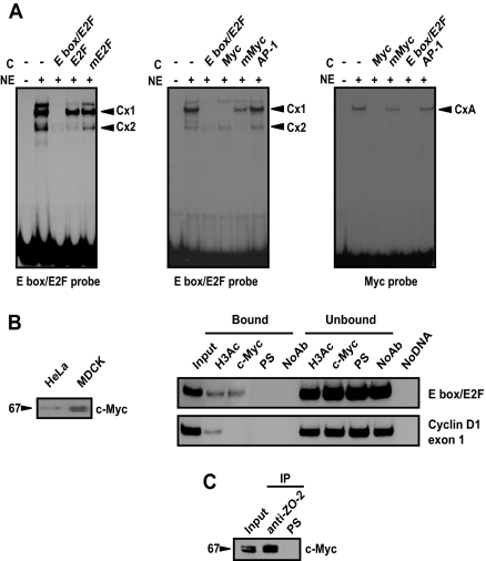 Figure 6.