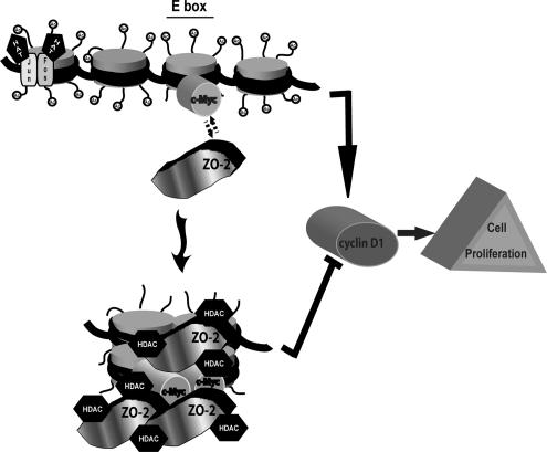 Figure 10.