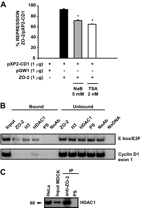 Figure 9.