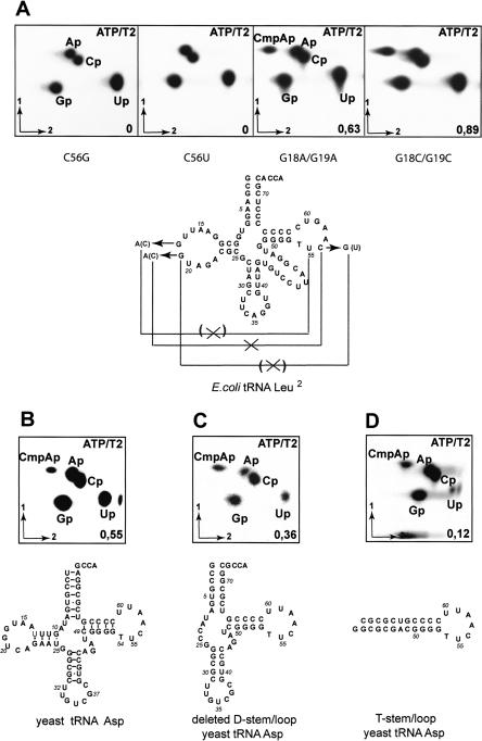 FIGURE 4.