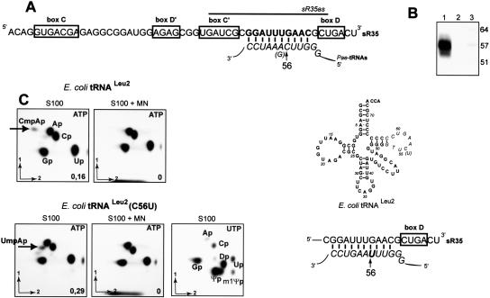 FIGURE 6.