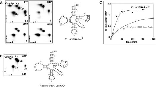 FIGURE 3.