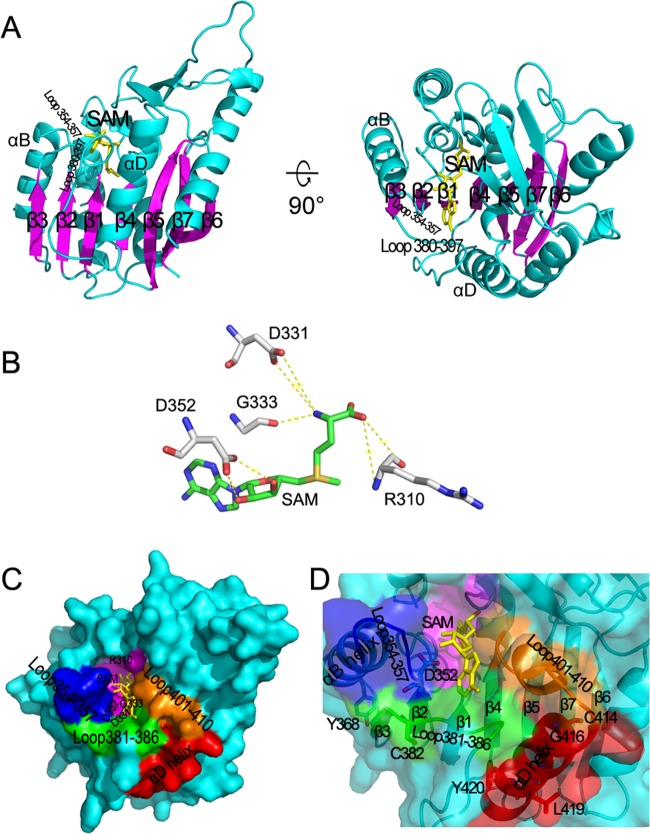 Fig 4