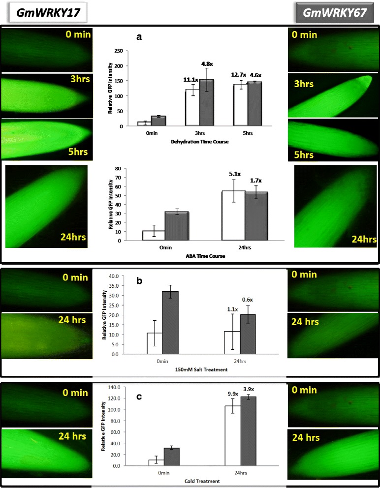 Fig. 9