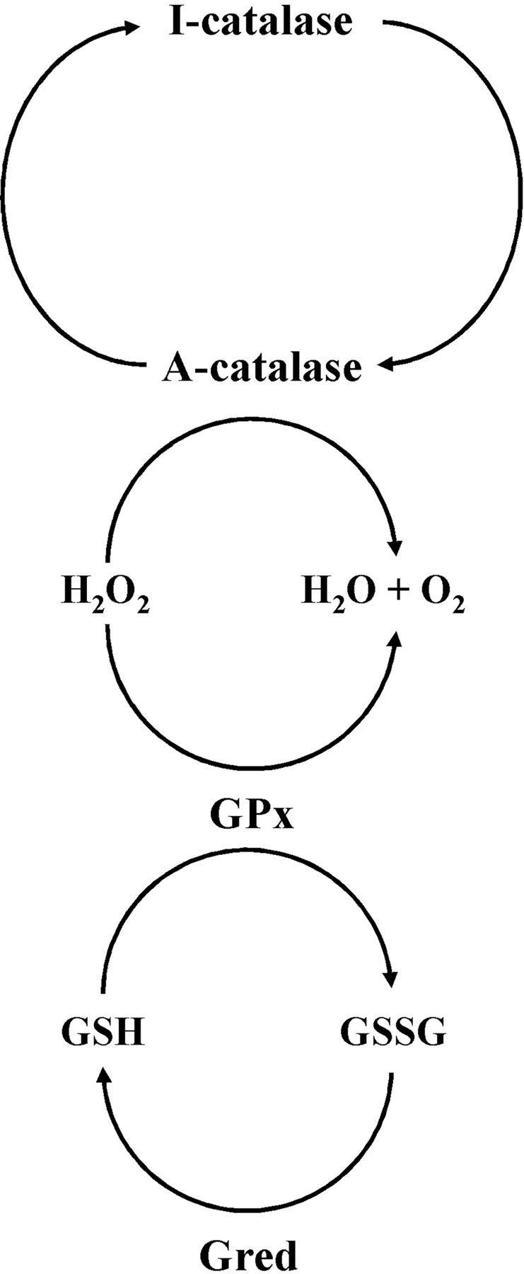 
Figure 10.
