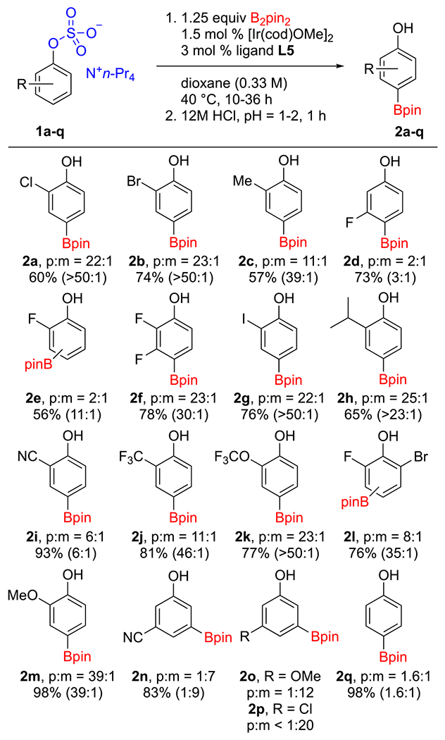 Scheme 2.