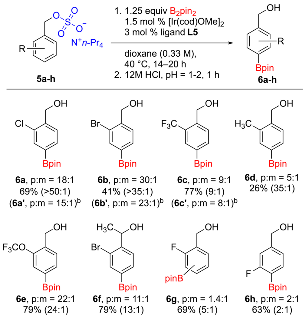 Scheme 4.