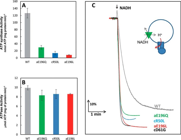 FIGURE 7.