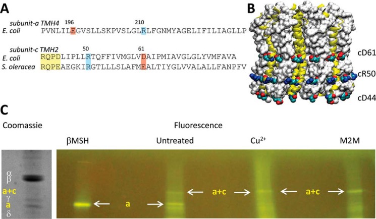 FIGURE 4.