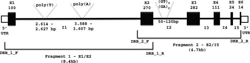 Figure 1: