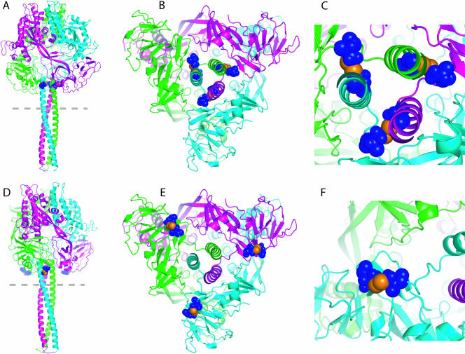 FIG. 1.