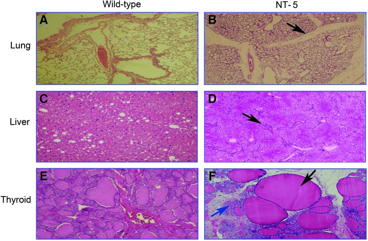 FIG. 7.