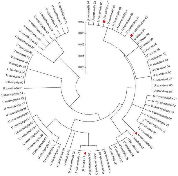 Fig. 6