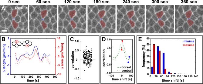 Figure 1—figure supplement 2.