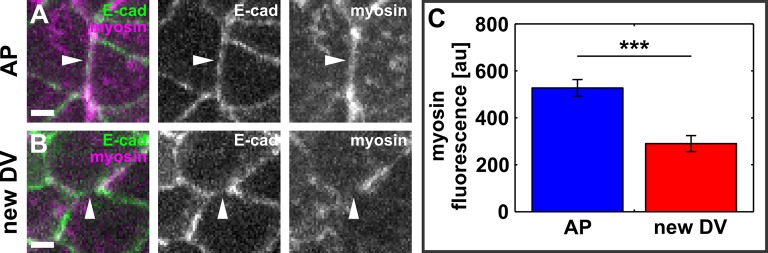 Figure 2—figure supplement 2.