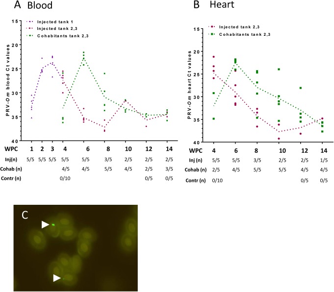 Fig 2