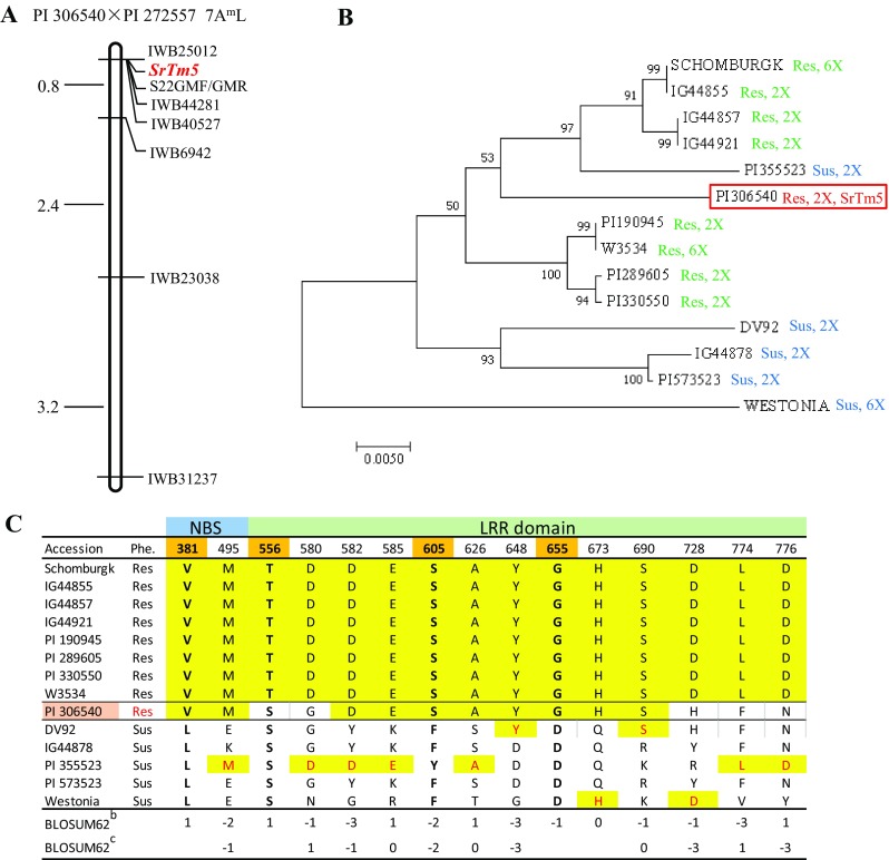 Fig. 3