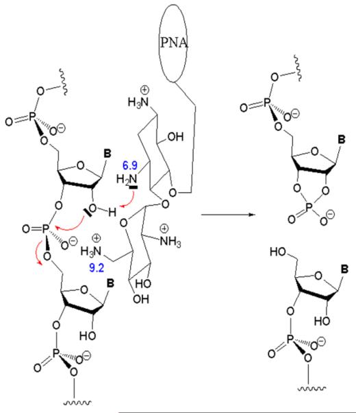 FIG. 6