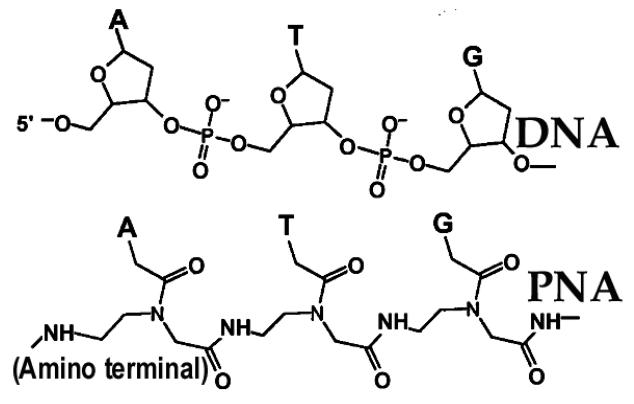 Fig.1