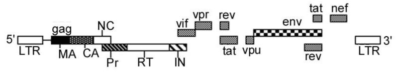 Fig.2