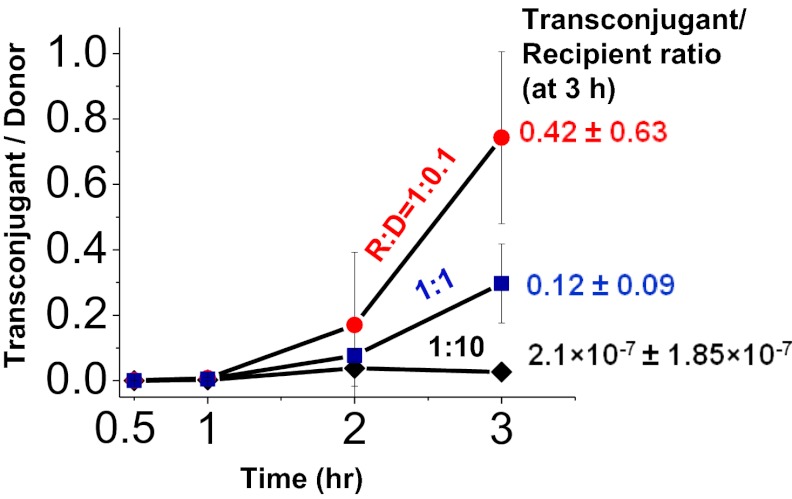 Fig. 3.