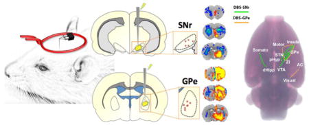 graphic file with name nihms833183u1.jpg