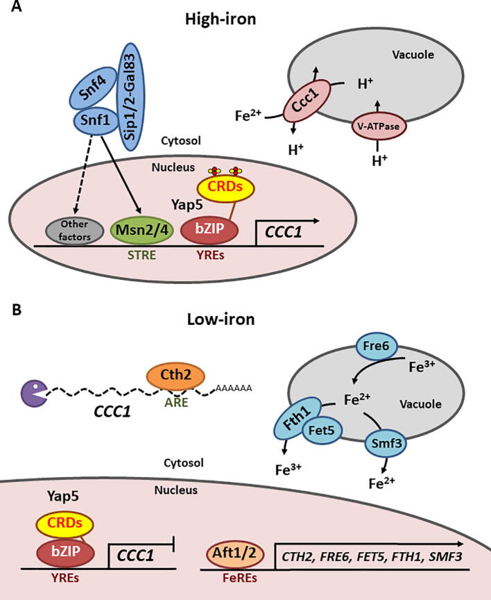 Fig. 4