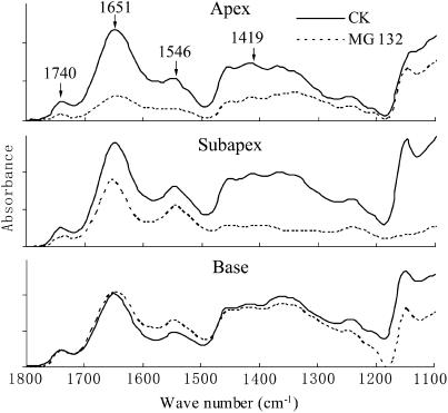 Figure 12.