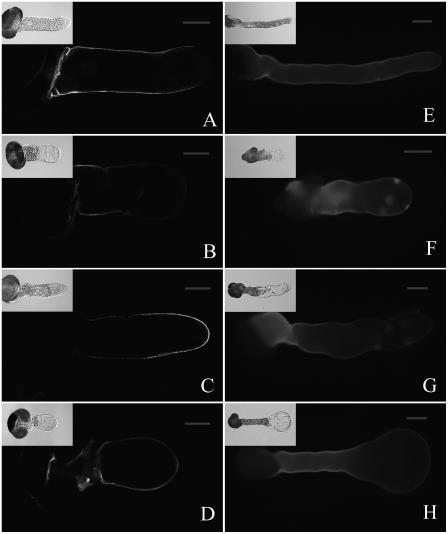 Figure 11.