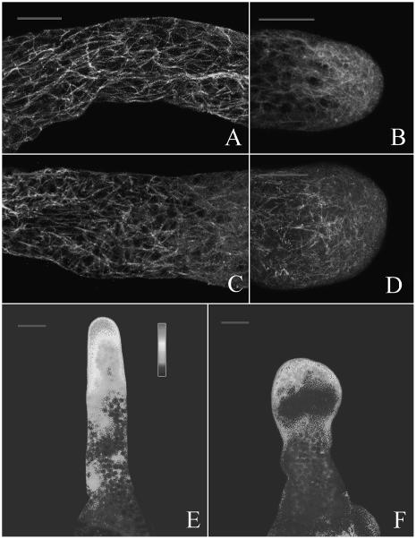 Figure 9.