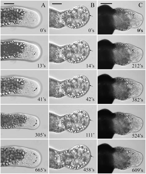 Figure 10.