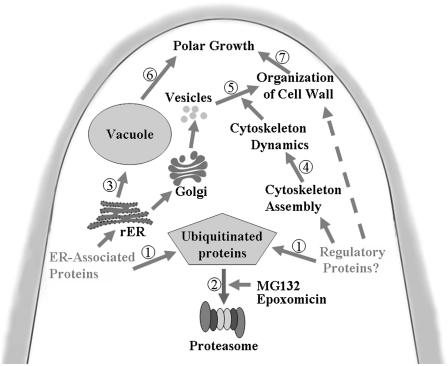 Figure 13.