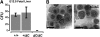 Figure 4.