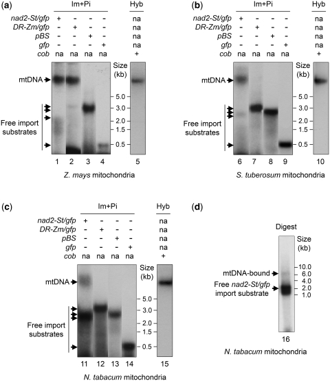 Figure 2.